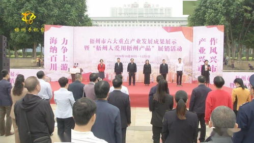 梧州六大重點產業成果閃耀，本土品牌展銷與文化交流共繪發展新篇