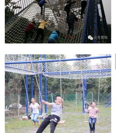 戶外體驗(yàn)式教育培訓(xùn)實(shí)力機(jī)構(gòu),專注拓展培訓(xùn) 親子活動(dòng)